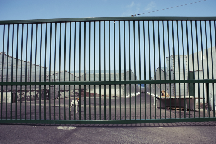 Top Trends in Security Fencing for 2024